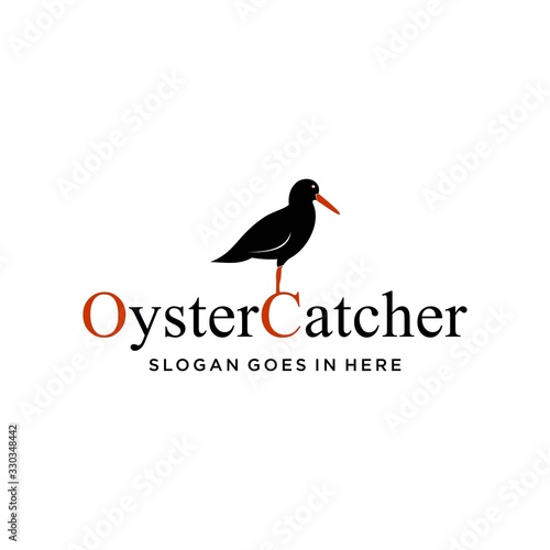 Oyster Catcher Bird Logo Design Vector Image illustration photo