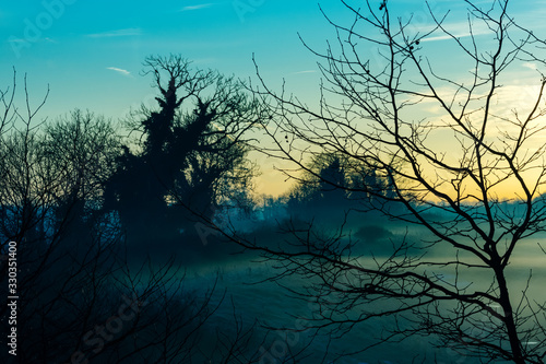 Silhouette of trees and branches in winter morning with mysterious and spooky fog in background fields at sunrise