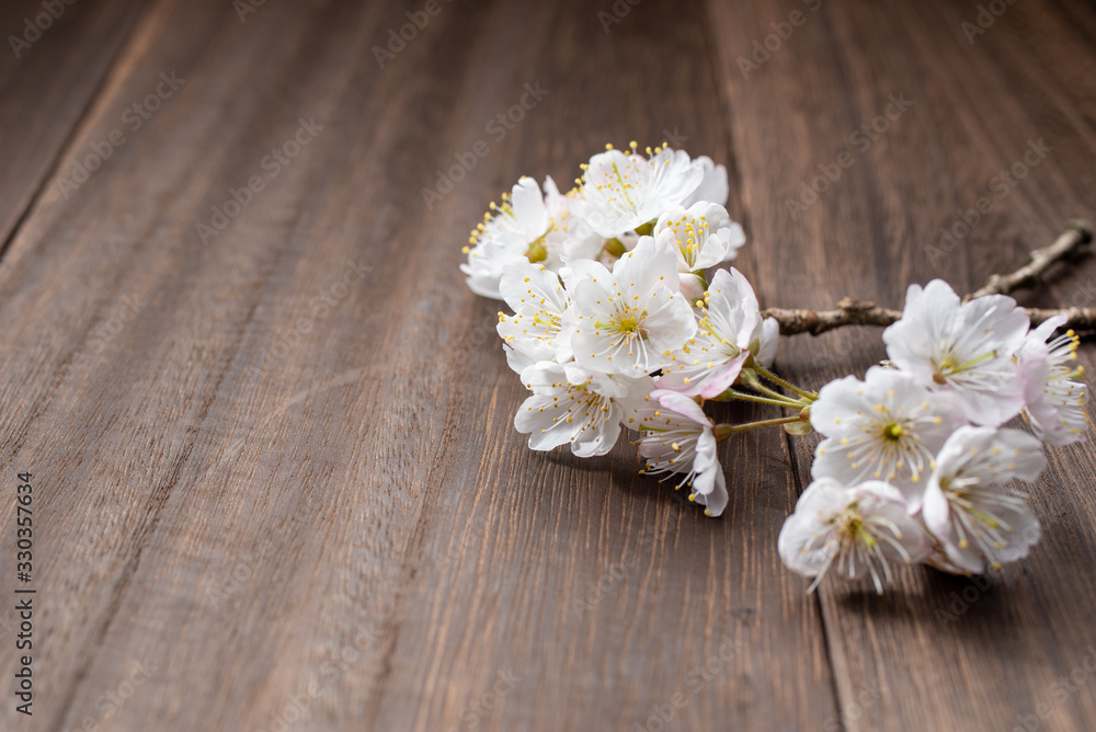 桜の花 桜の花