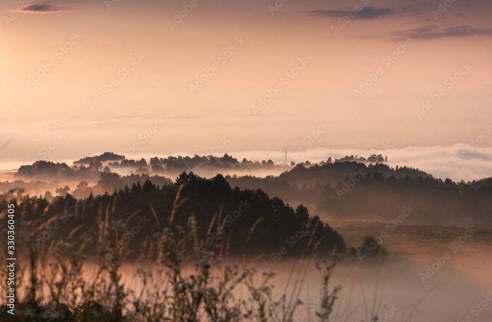 Obraz premium morning foggy landscape in the month of June