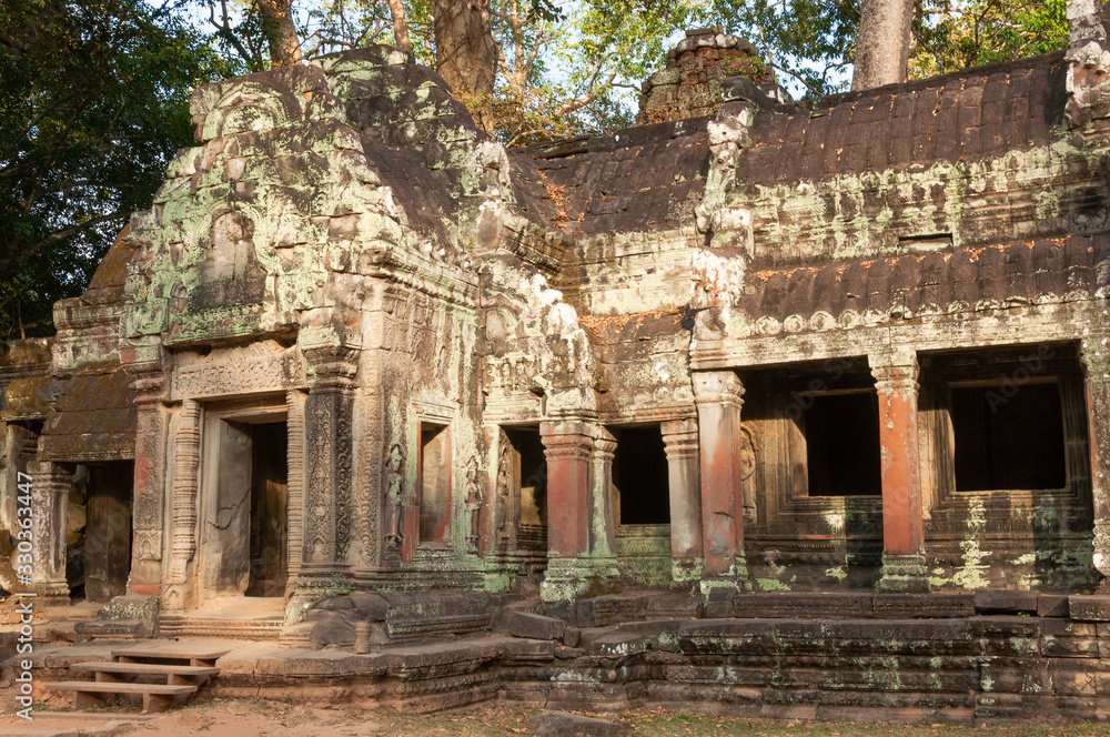 Ta Prohm Temple in Angkor complex. Siem Reap, Cambodia.