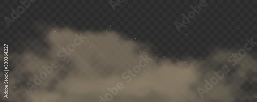 Dust rises with dirt particles. Dirty smoke texture or cloud of factory smog on transparent background. 3d realistic cloud of dust. Air pollution concept. Vector.