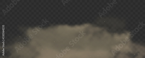 Dust or dirty smoke rises with dirt particles. Cloud of factory smog texture on transparent background. 3d realistic cloud of dust. Air pollution concept. Vector.