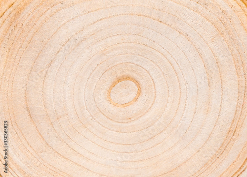 Detailed natural light tan of a felled tree trunk or stump. Smooth organic texture of tree rings with close up of end grain.