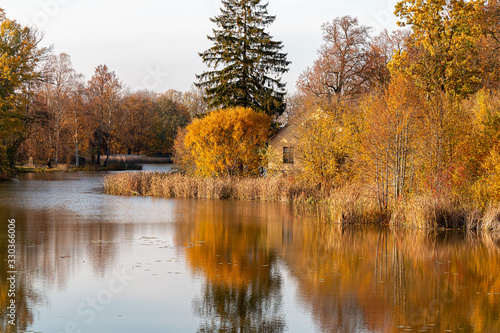 Autumn landscape with colorful forest.