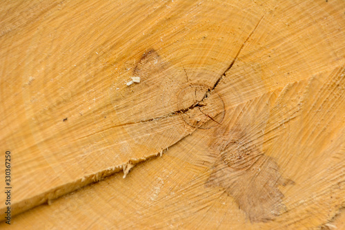 Tree ring log wood. Natural organic texture with cracked and rough surface. Close-up macro view of end cut wood tree section with cracks. Wooden surface.