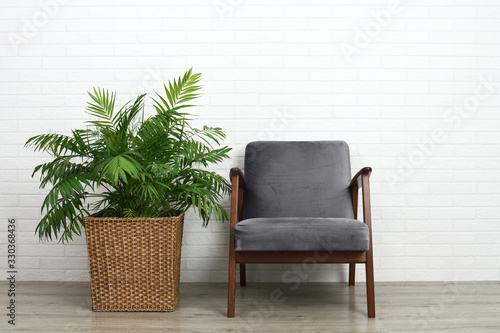 Comfortable armchair and beautiful houseplant