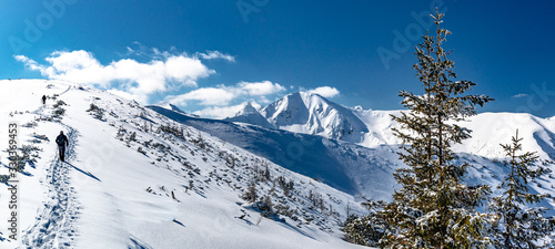 Fototapeta Naklejka Na Ścianę i Meble -  Tatry Zachodnie - zima 2020, Wołowiec