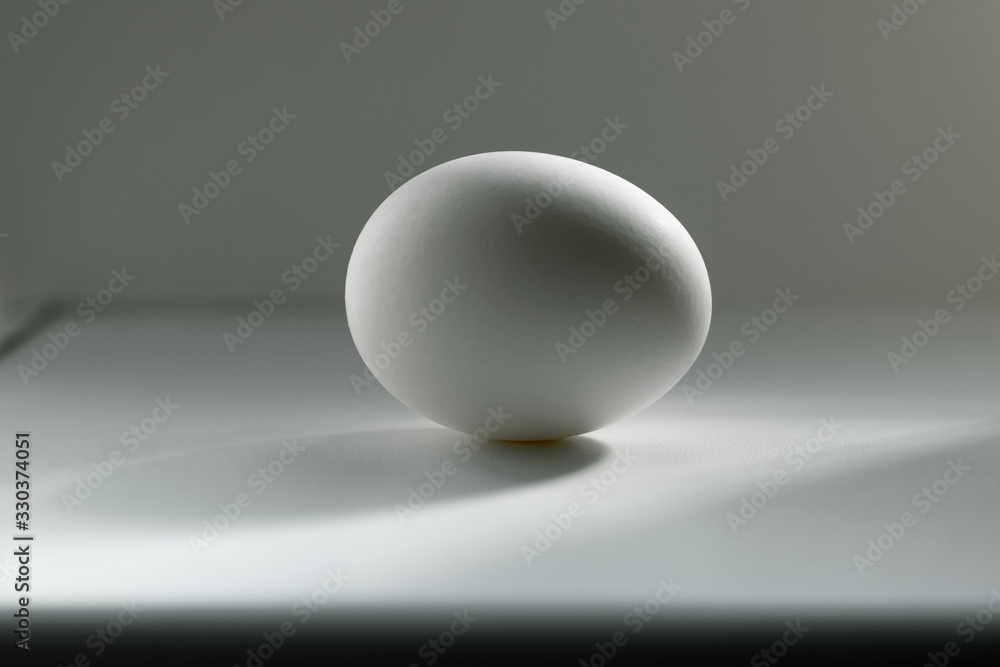 White chicken egg with shadow. One egg on a white surface White chicken egg with shadow. One egg on a white surface