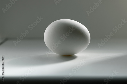 White chicken egg with shadow. One egg on a white surface