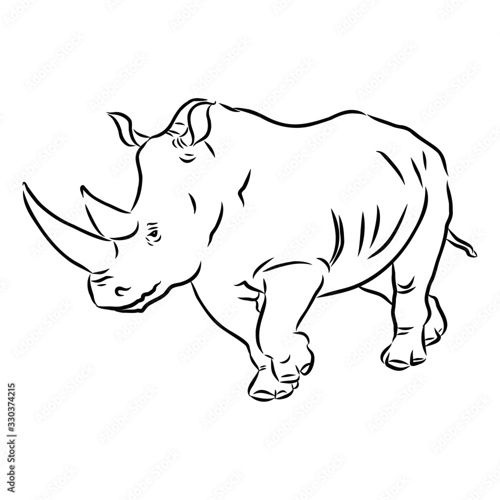 Fototapeta premium illustration of rhinoceros