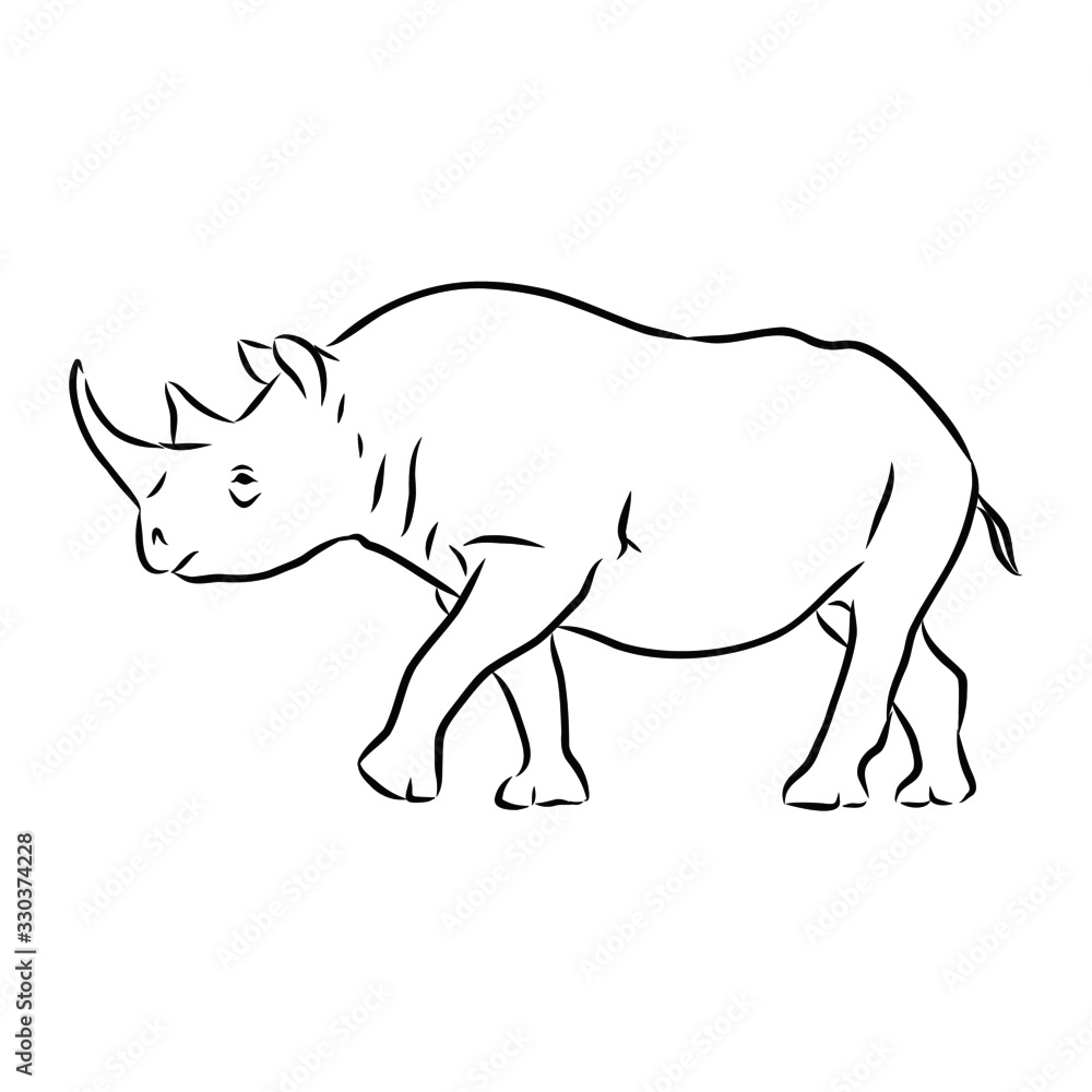 vector illustration of rhino