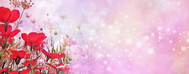 Special Occasion red flower sparkle pink wide banner - random shimmering sparkles flowing across the bokeh background with meadow flowers in left corner and copy space 