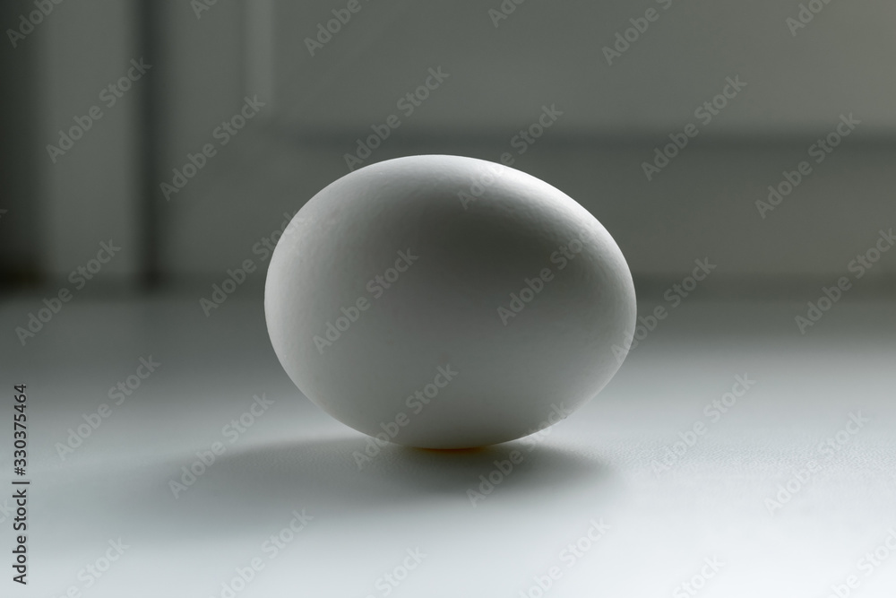 White chicken egg with shadow. One egg on a white surface White chicken egg with shadow. One egg on a white surface