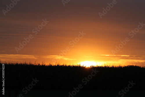 Sonnenuntergang   berm Maisfeld