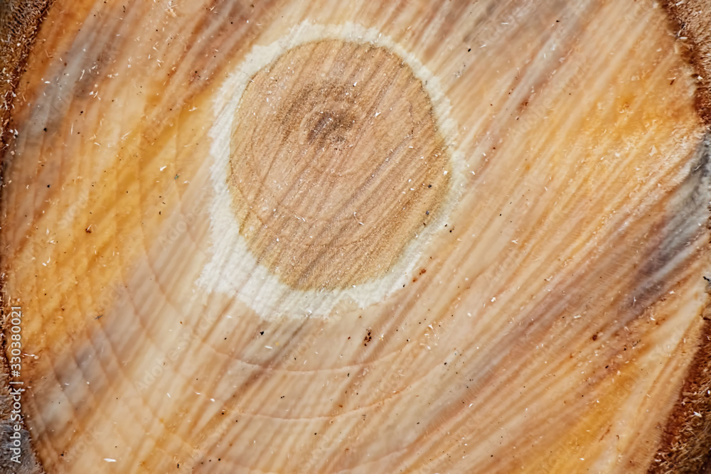 Background texture smooth cut wood Background texture smooth cut wood