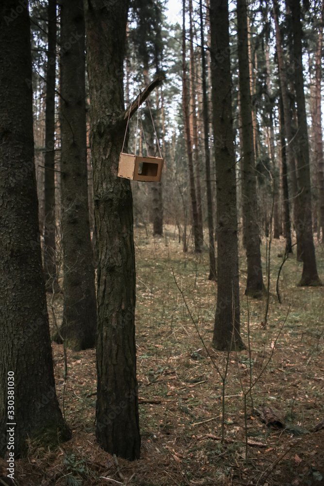 Bird feeder weighing on a tree in the forest Bird feeder weighing on a tree in the forest
