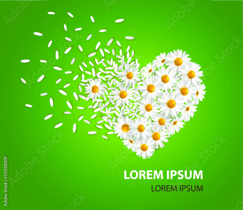 Beautiful daisy flowers laid out in the shape of a heart. On a green background. Vector postcard design