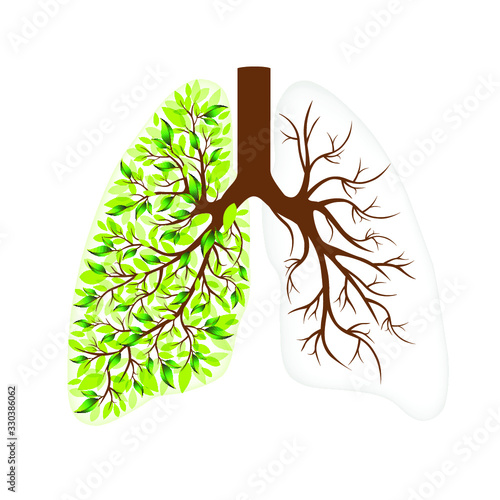 Human lungs Respiratory system. Healthy lungs. Light in the form of a tree. Line art. Drawing by hand. Medicine. Vector graphics