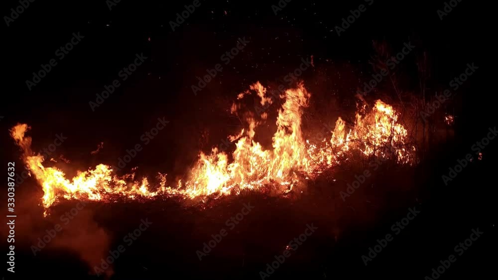 Flame of fire destroys the flora and threatens the fauna, night time. 4K footage. The theme of arson, disaster and emergency events, negative impact on flora and fauna. Night shot Flame of fire destroys the flora and threatens the fauna, night time. 4K footage. The theme of arson, disaster and emergency events, negative impact on flora and fauna. Night shot