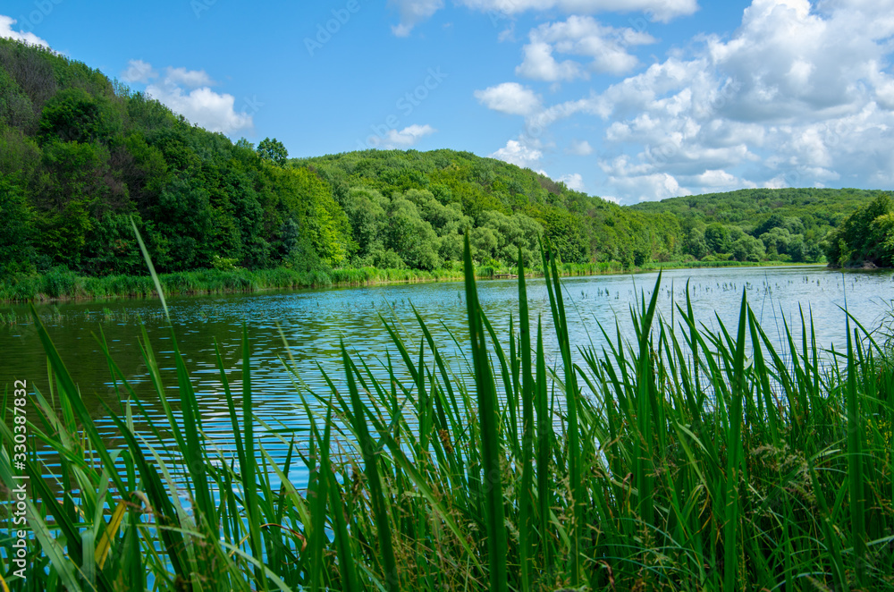 Beautiful summer landscape on the lake, the green grass and blue sky.