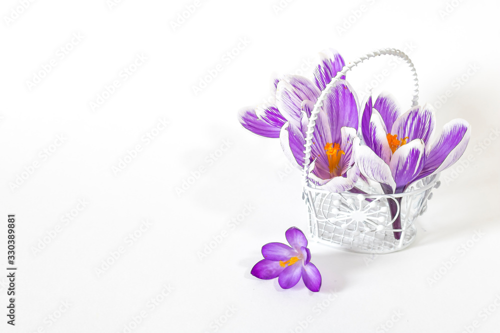 Decorative basket decorated with purple crocuses on a white background