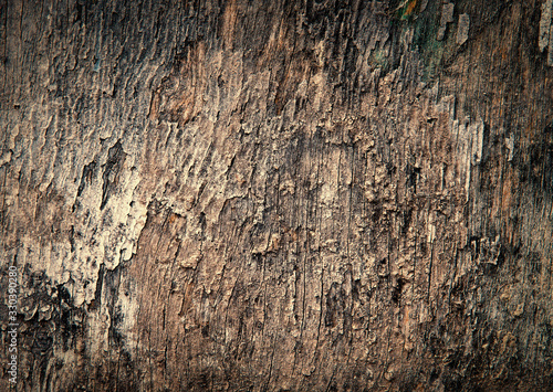old wooden board, background