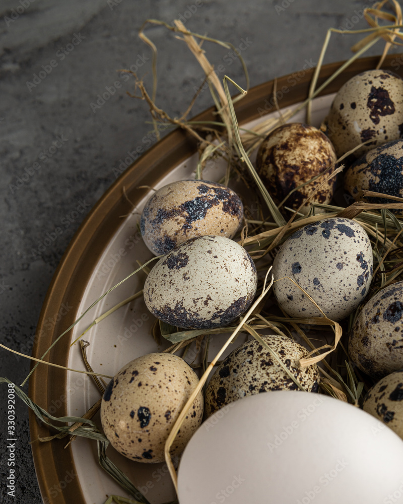 Obraz premium Quail eggs and one white chicken egg in hay on plate on concrete surface. Close-up vertical photo