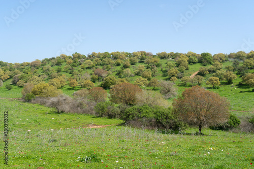  Typical Lower Galilee landscape view