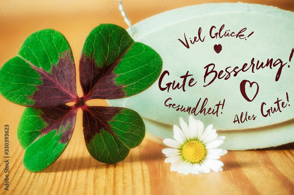 Gute Besserung Glücksklee und Gänseblümchen StockFoto Adobe Stock