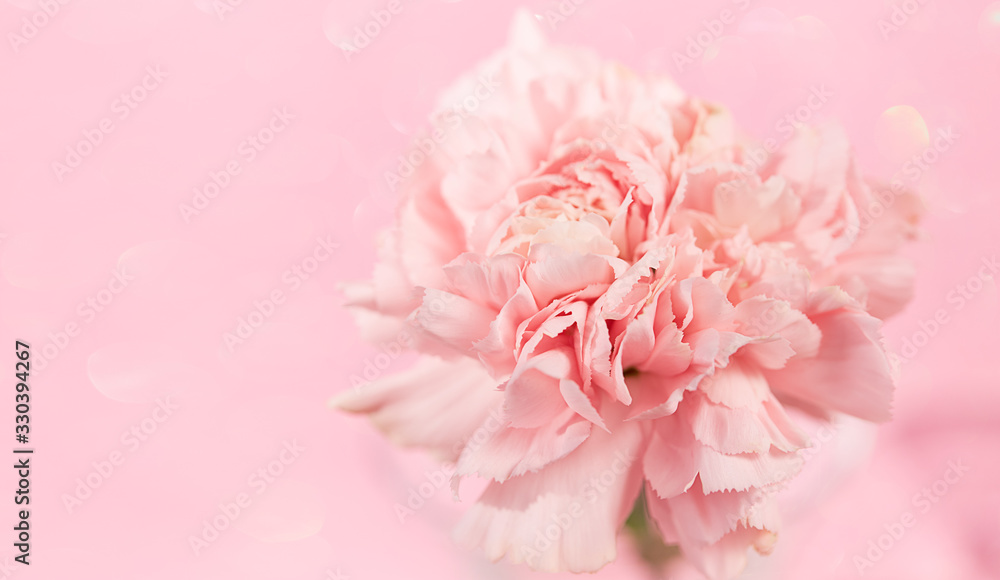 Summer blossoming flowers background, selective focus, shallow DOF, toned, light and heart bokeh background, pastel and soft card Summer blossoming flowers background, selective focus, shallow DOF, toned, light and heart bokeh background, pastel and soft card