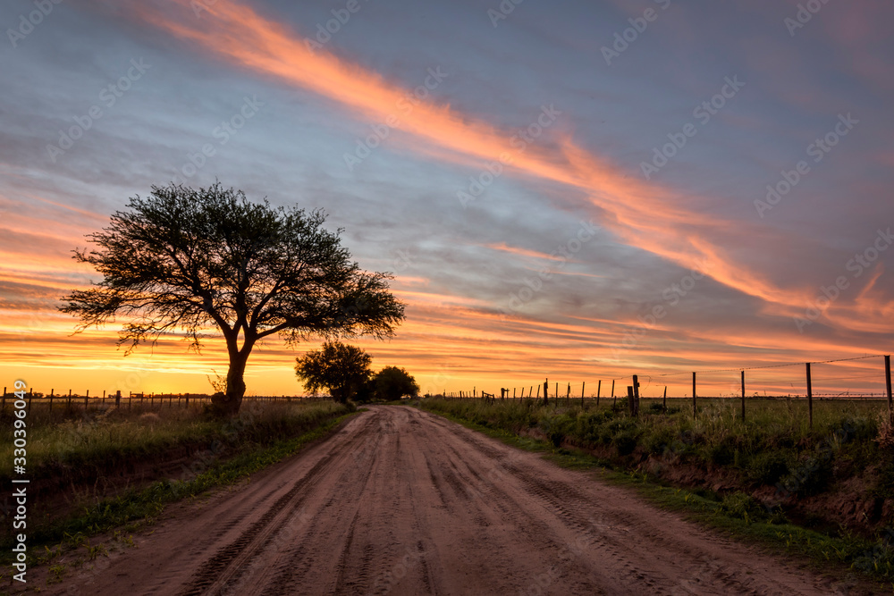 Scene view of a road in the field and a Calden (Prosopis caldenia) tree silhouette during colorful sunset Scene view of a road in the field and a Calden (Prosopis caldenia) tree silhouette during colorful sunset
