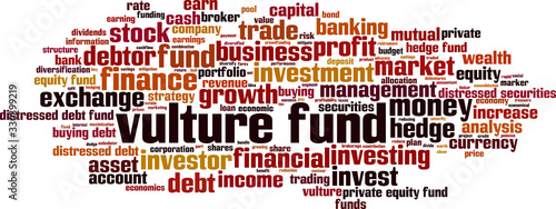 Vulture fund word cloud