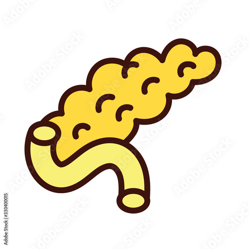 gallbladder human organ line and fill style