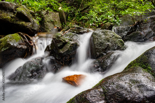 small waterfall in the forest