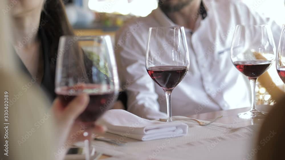 Young friends having fun in the restaurant drinking red wine. Youth friendship concept Young friends having fun in the restaurant drinking red wine. Youth friendship concept