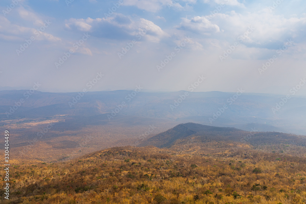 Landscape mixed forest summer season view from top mountain nature background Landscape mixed forest summer season view from top mountain nature background