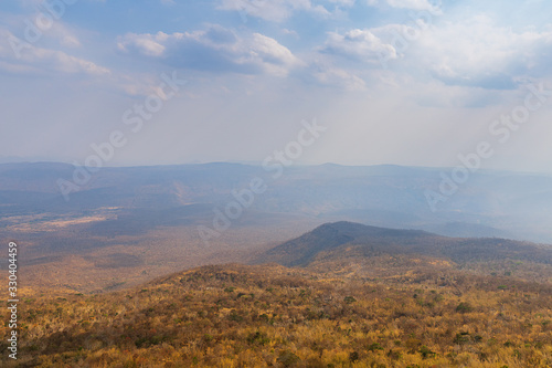 Landscape mixed forest summer season view from top mountain nature background