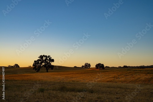 Sunrise in Templeton, California