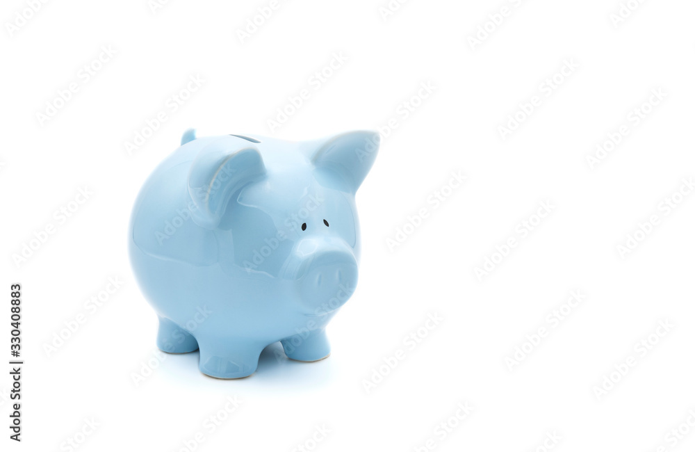 Blue Piggy Bank