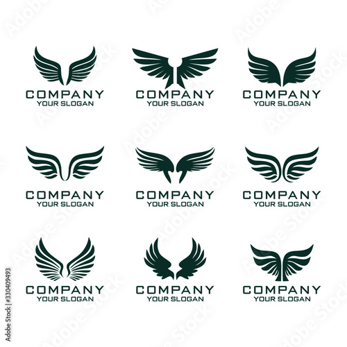 Wings Vector Logo Template Set 