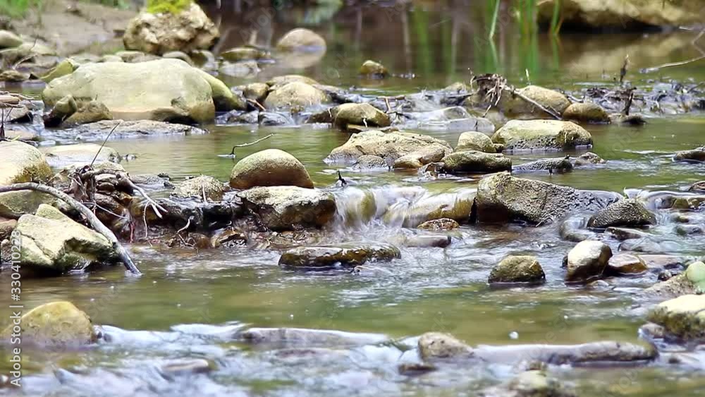 Peaceful mountain stream with a lot of stones and pebbles. Water flow with insects on the surface. Peaceful mountain stream with a lot of stones and pebbles. Water flow with insects on the surface.