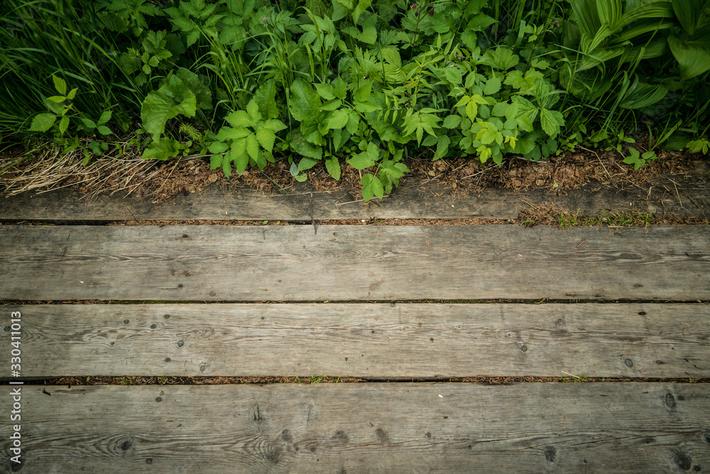 wooden walkway in a green forest wooden walkway in a green forest