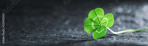 Photo Bright green good luck four leaf clover.