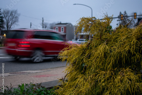 A Bright Green bush on a Busy Street With Cars With Motion Blur in the Background