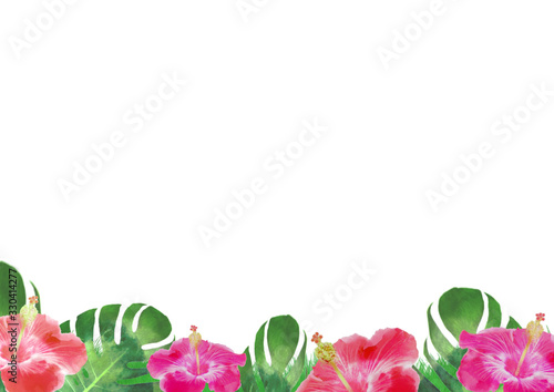 ハイビスカス 背景イラスト Stock イラスト Adobe Stock ハイビスカス 背景イラスト Stock イラスト Adobe Stock