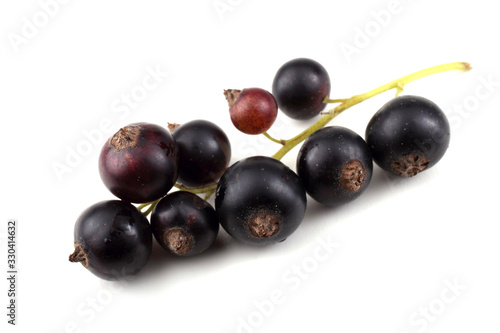 Cluster of black currant