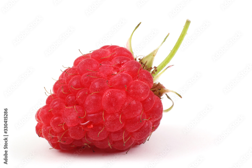 Raspberry Raspberry