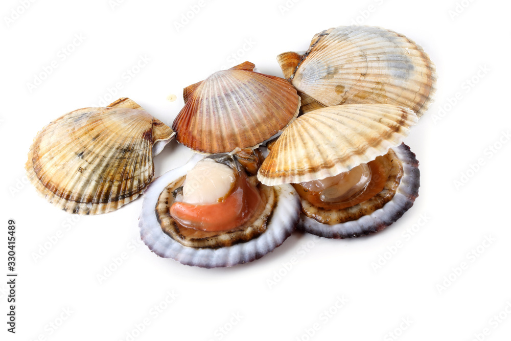 Opened and closed scallops Opened and closed scallops