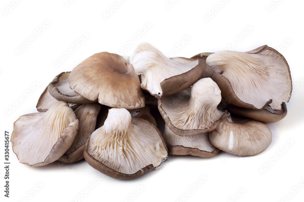 Oyster mushrooms